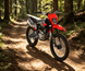 KAYO K2 Pro 250 249.9cc engine, cylinder head, exhaust header, and frame detail