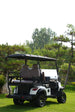 4-Seater Electric Utility Vehicle - Profile View