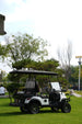 4-Seater Electric Utility Vehicle - Rear View