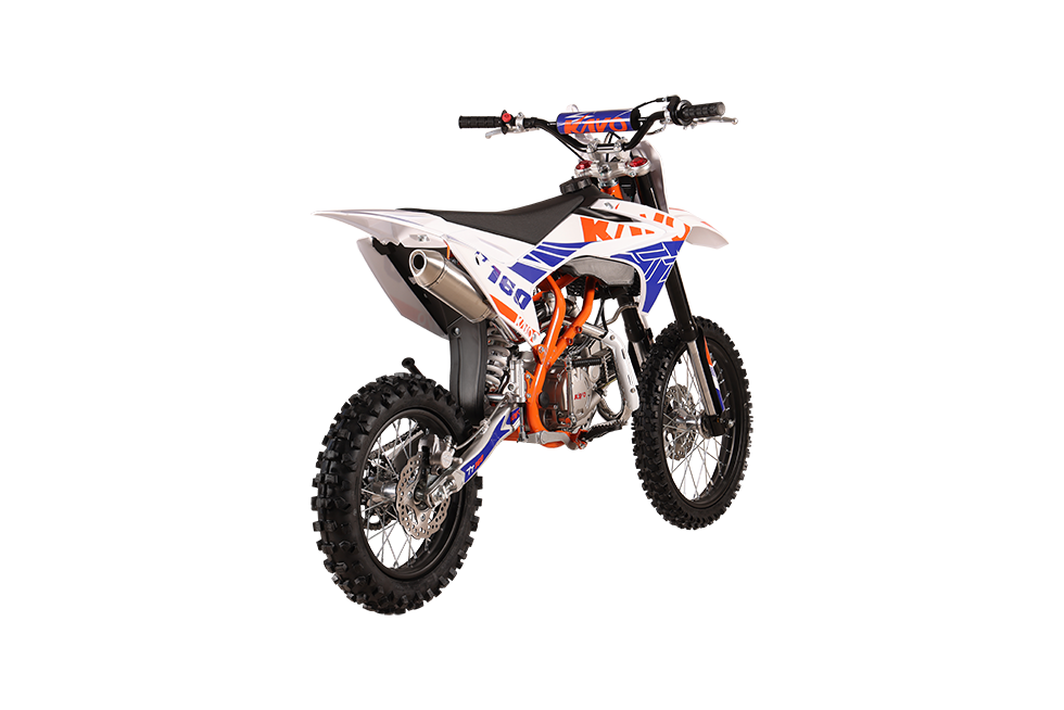 KAYO TT160 pit bike rear left 3/4 view